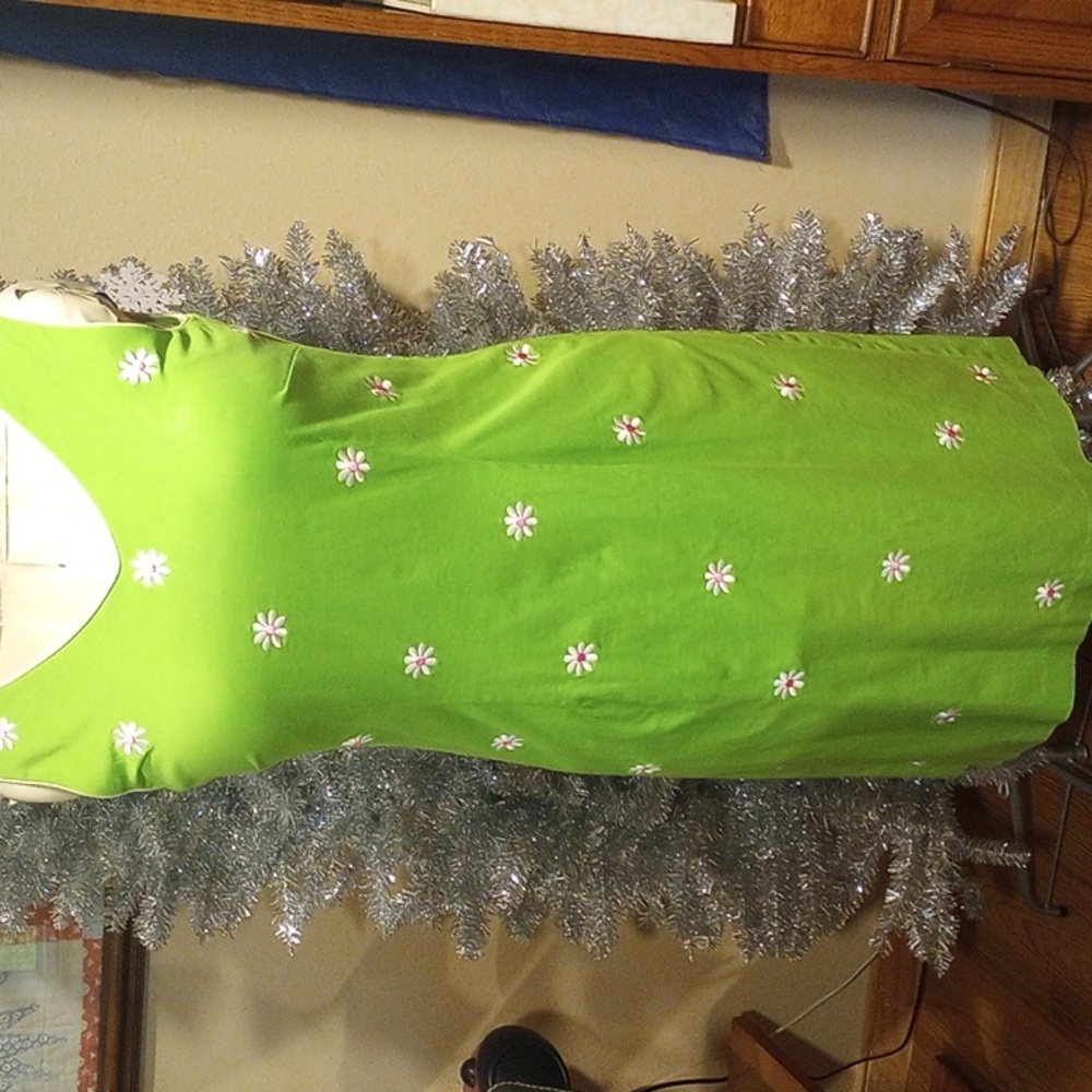 Sag Harbor;Adorable; Dancing Green Dress with dainty flowers sz 8; Exc.condition